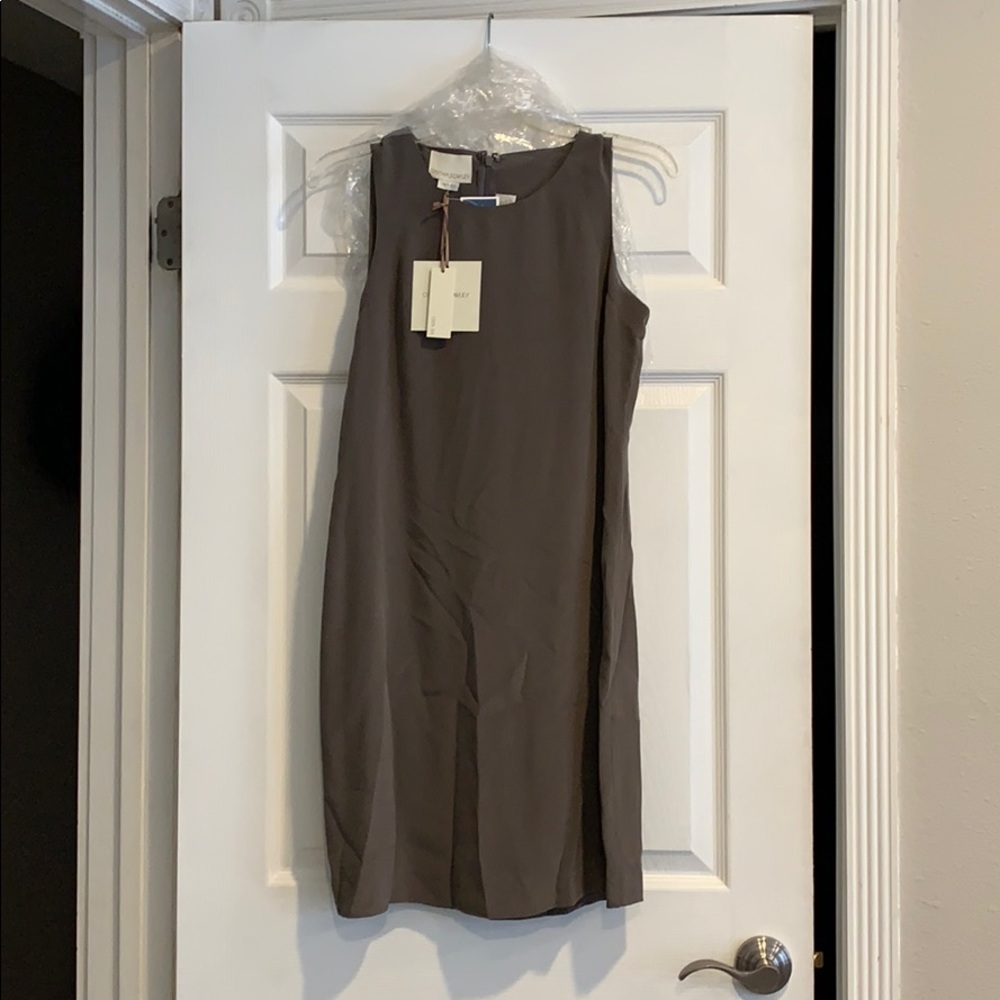 NWT Cynthia Rowley Taupe Silk Dress 2